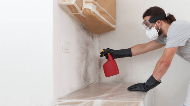 Professional Crawl Space Mold Removal technician working in Washington, IL