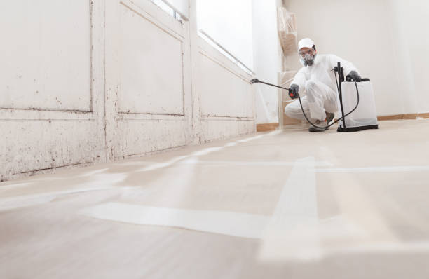 24/7 Emergency Crawl Space Mold Removal experts in Washington, IL